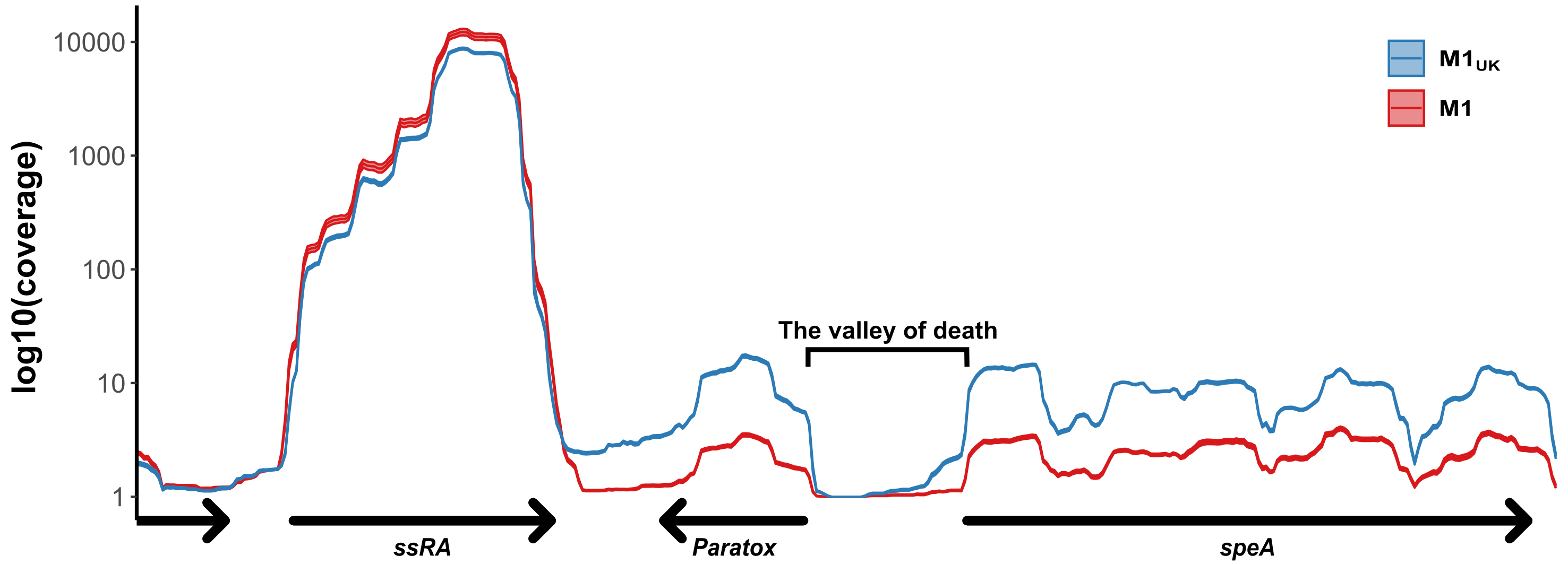 Illumina RNA-sequencing coverage across tmRNA and speA region Illustration of Illumina RNA-sequencing read coverage across the tmRNA and speA region for bold M1 and the new M1UK sub-lineage