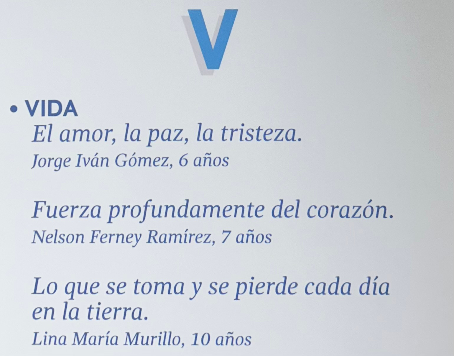**Life**  What is taken and lost every day on earth.  Lina María Murillo, 10 years-old  Strength that comes from deep within the heart.  Nelson Ferney Ramírez, 7 years-old