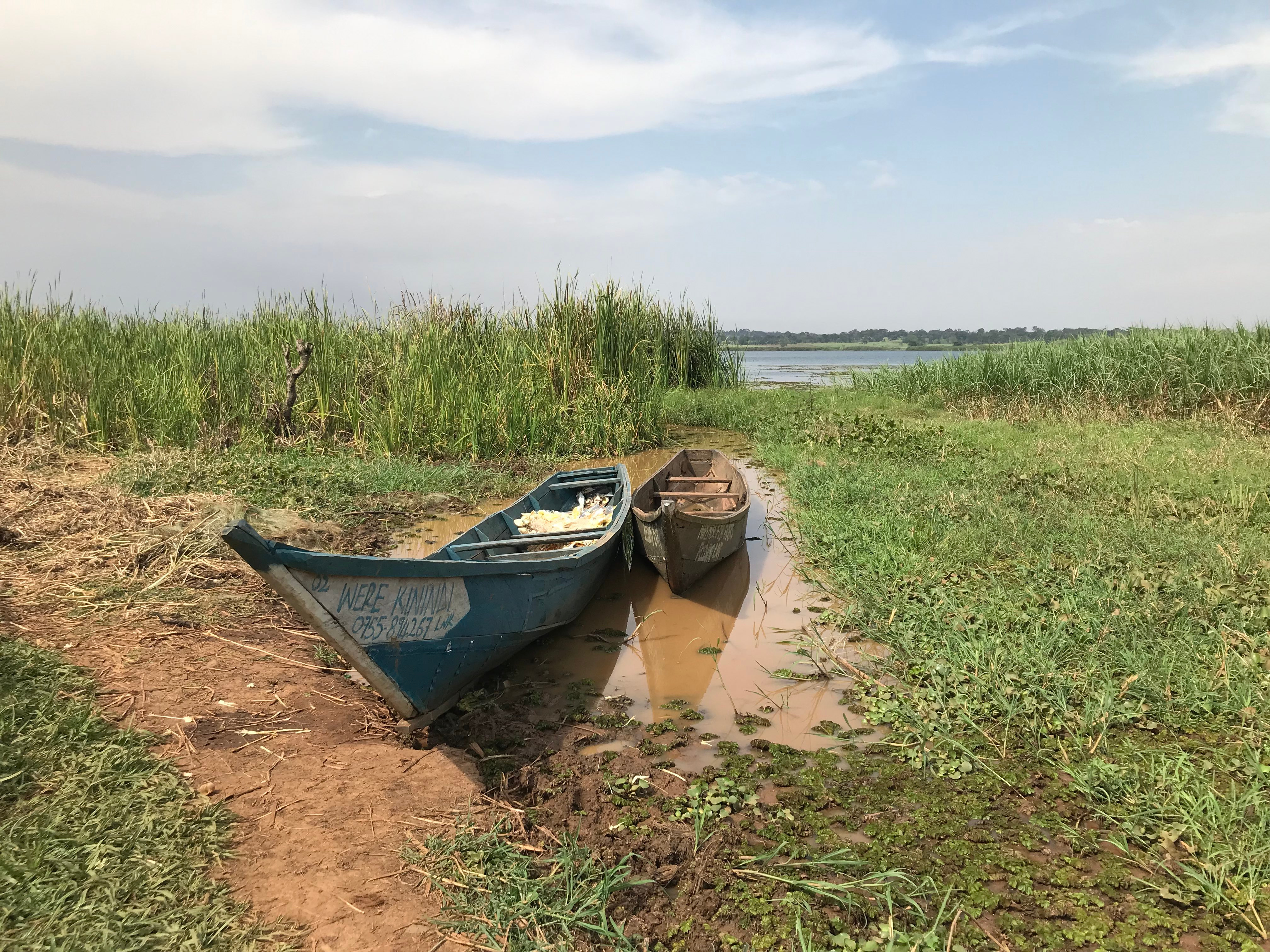 Fishing boats on Lake Victoria, Uganda.