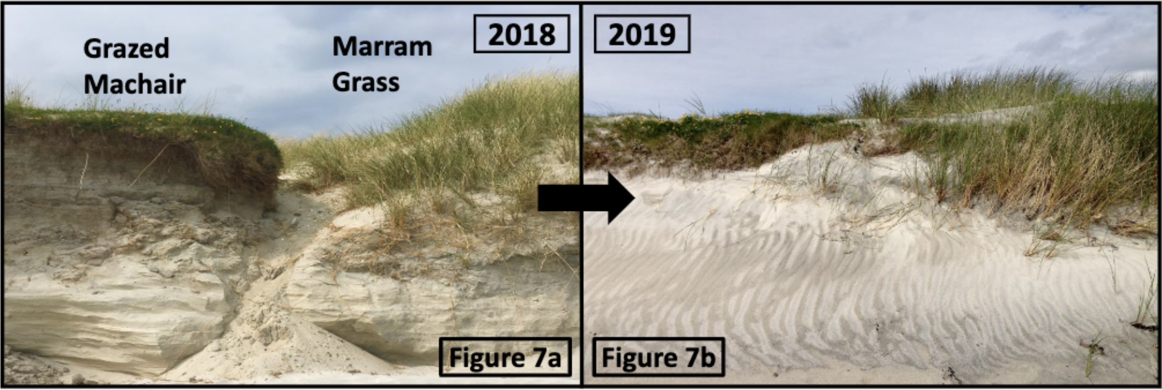 Erosion 2018-2019 in Scotland Erosion 2018-2019 in Scotland