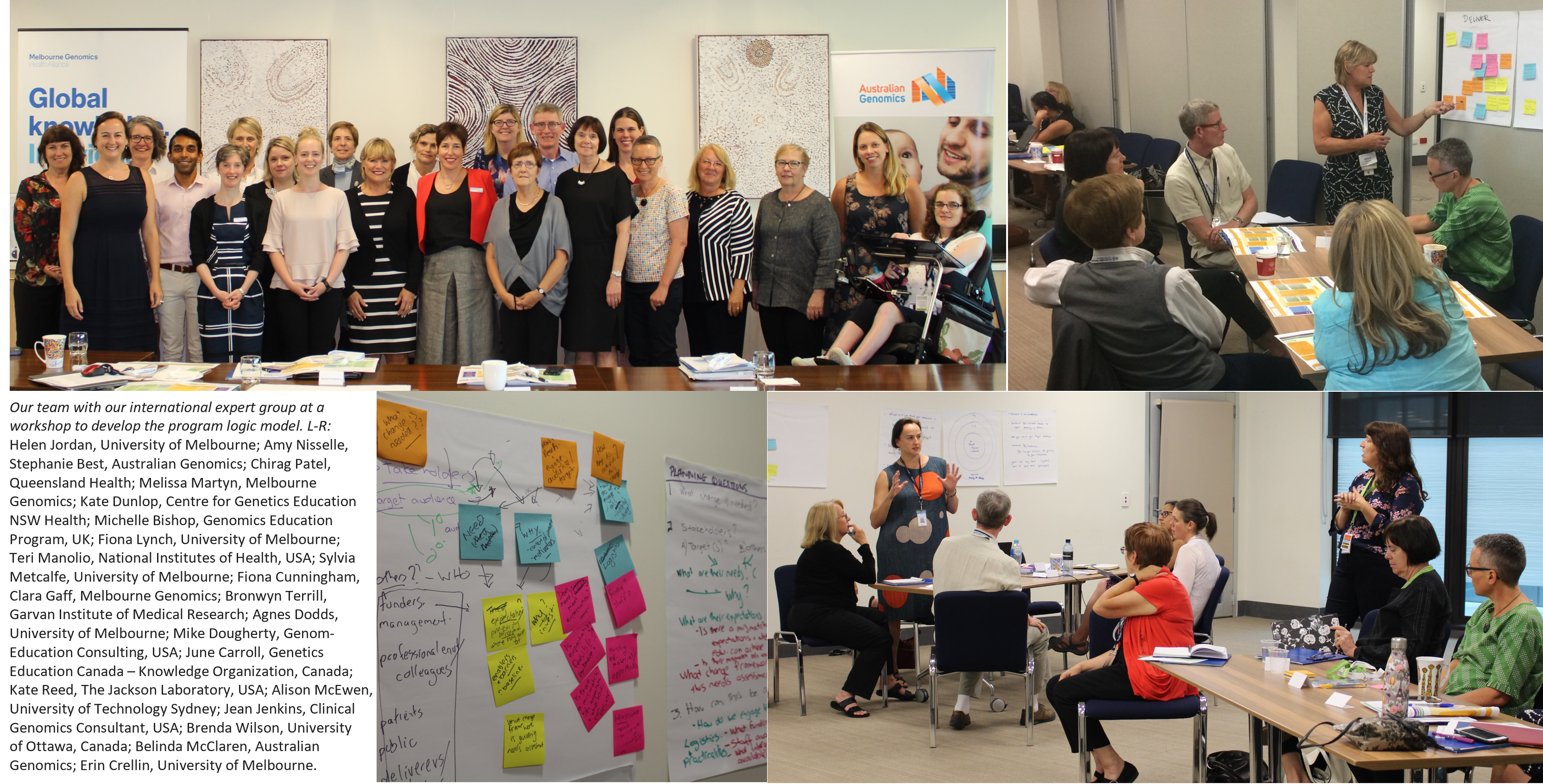 Expert group at program logic workshop, 2018, Melbourne, Australia Workshop with international experts to develop a program logic model for genomics education