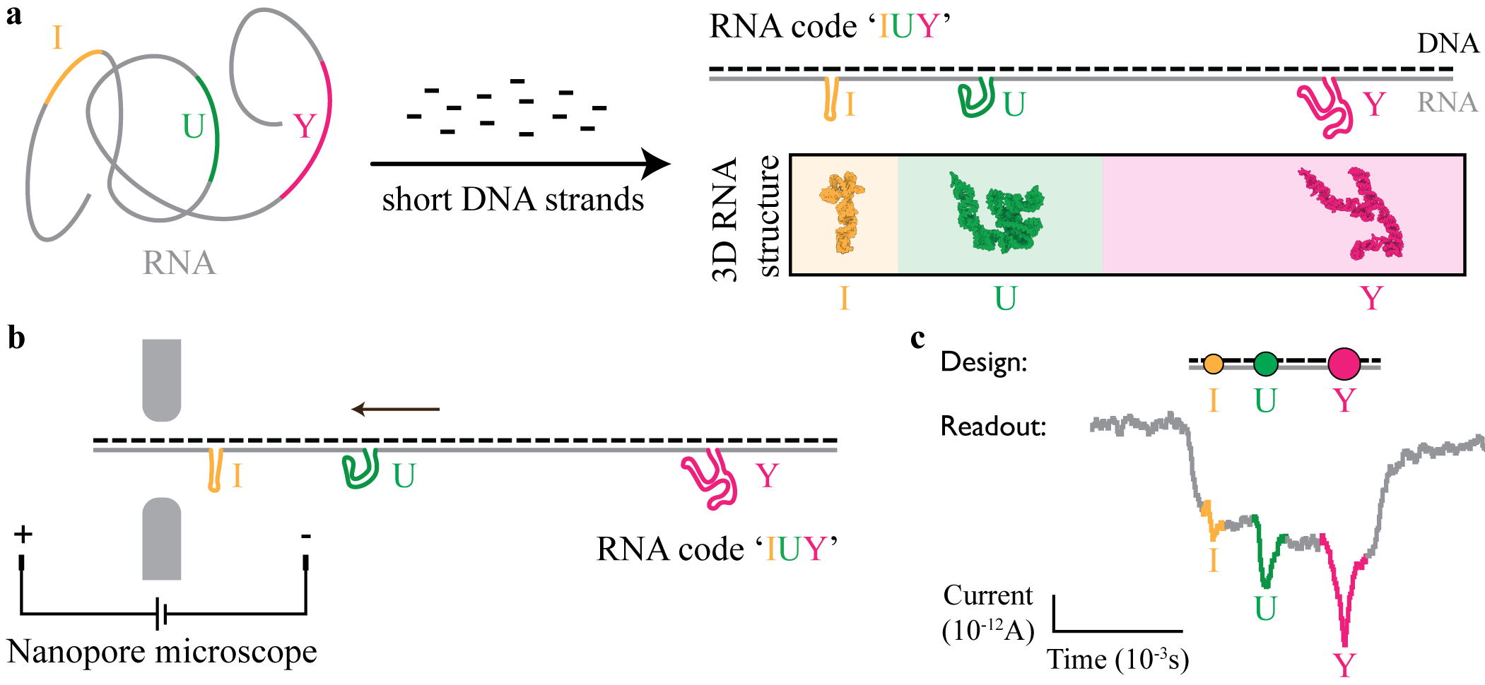 Self-assembled RNA origami-based codes readout with solid-state nanopore microscopy