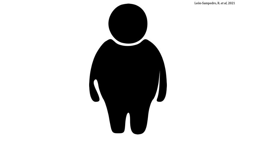 Within-patient plasmid transfer. Once a patient is colonised by plasmid-carrying enterobacteria, we track rare (traceable) plasmid variants spreading among different bacterial species.