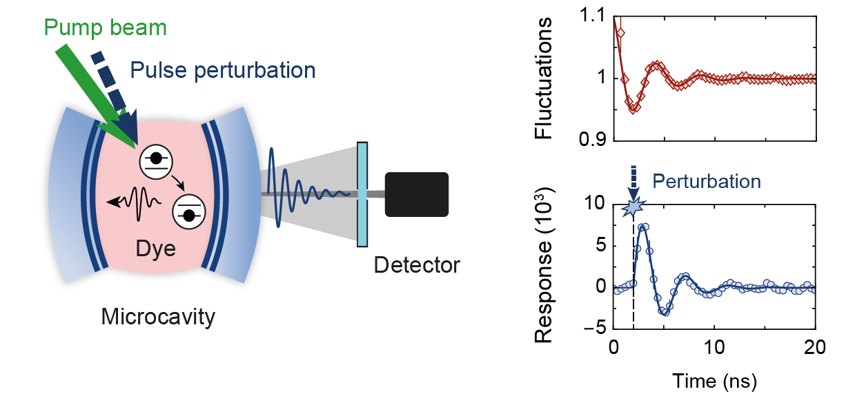 Experimental setup