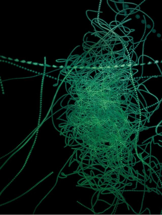 Trajectories within a midge swarm