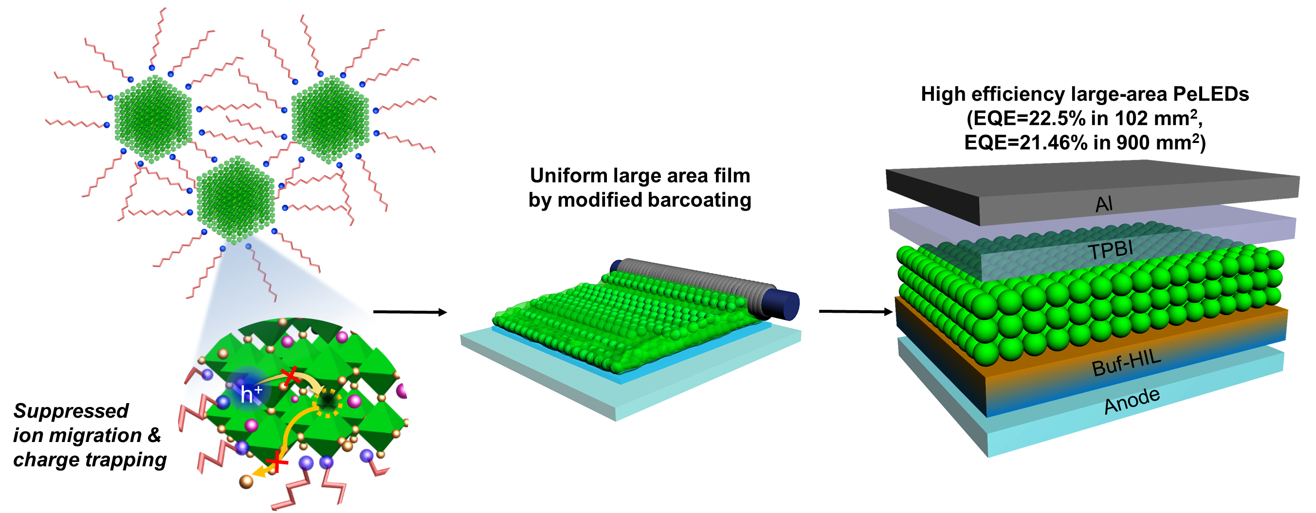 Schematic illustrations of suppression of charge trapping and ion migration (left), fabrication of uniform PNC films by modified barcoating (middle), and fabrication of high efficiency PeLEDs in large areas (right).