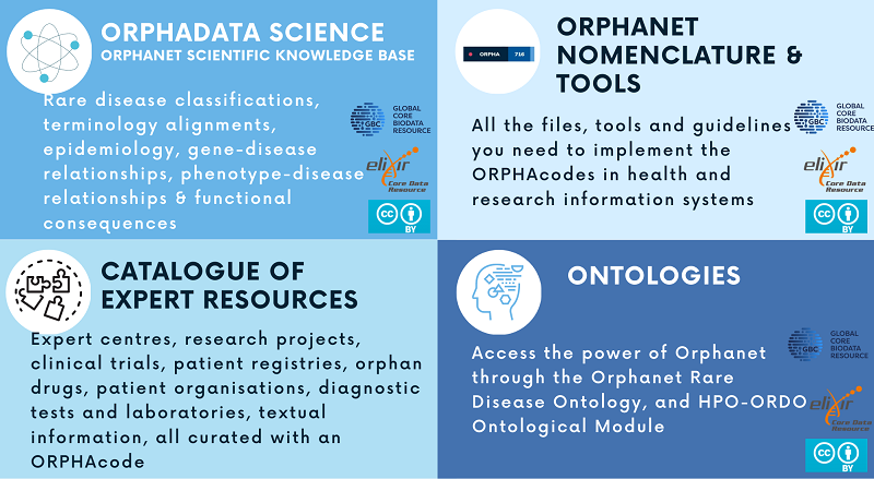 Image showing the Orphadata elements in four boxes