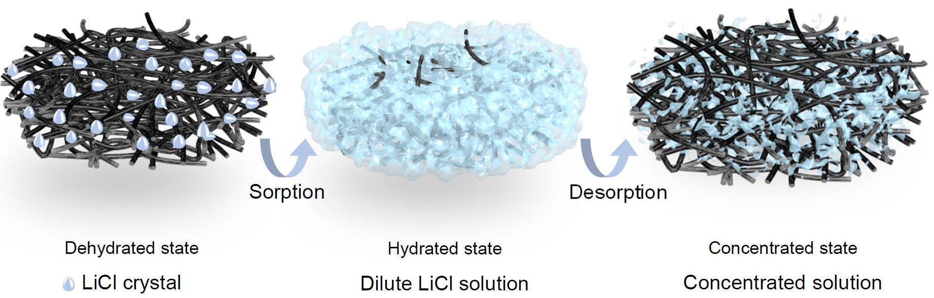 Water capture-release processes of the hygroscopic mateiral.