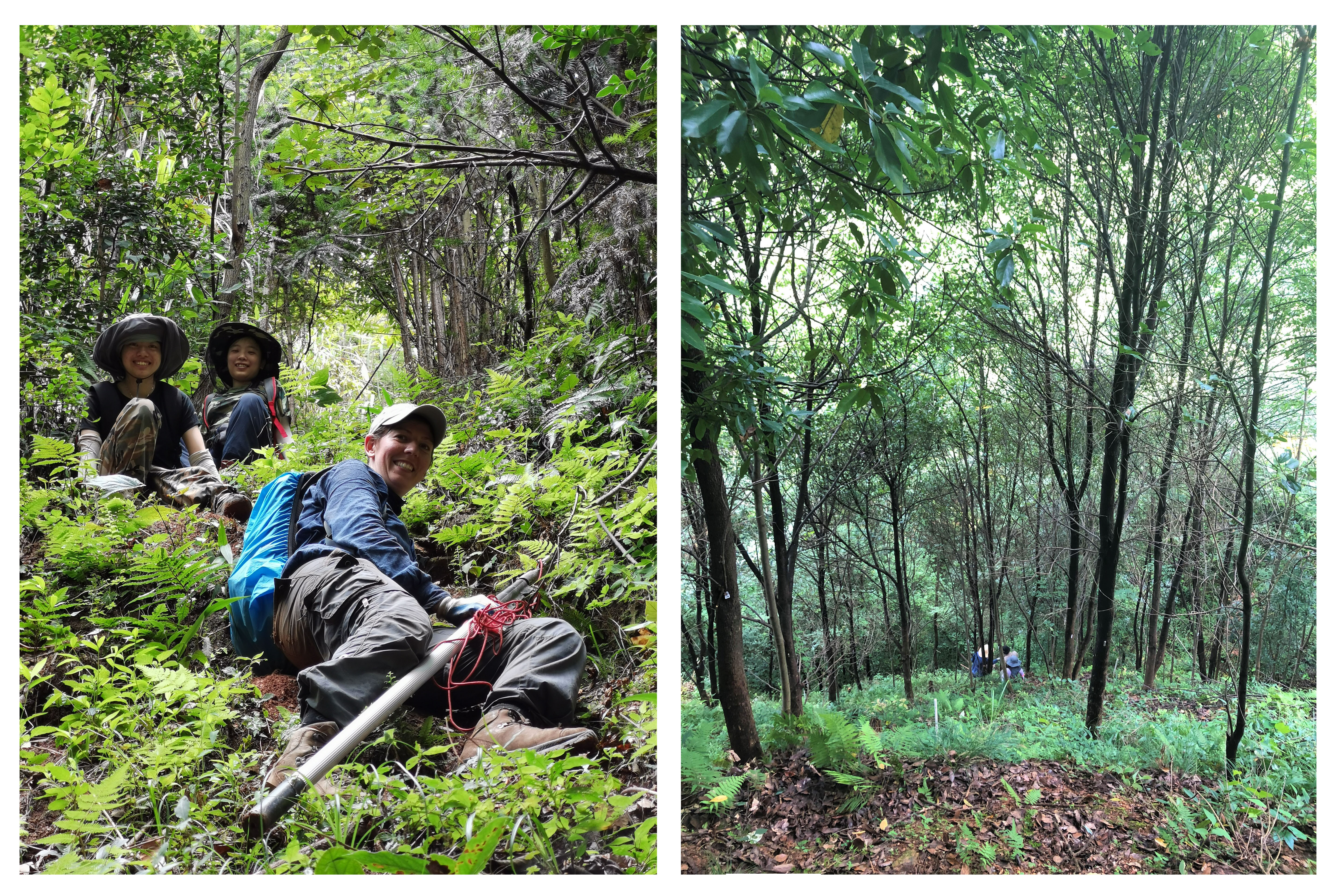 Franca back from the field in Site A