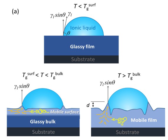 Schematic of wetting ridge growth over ionic liquid droplet.
