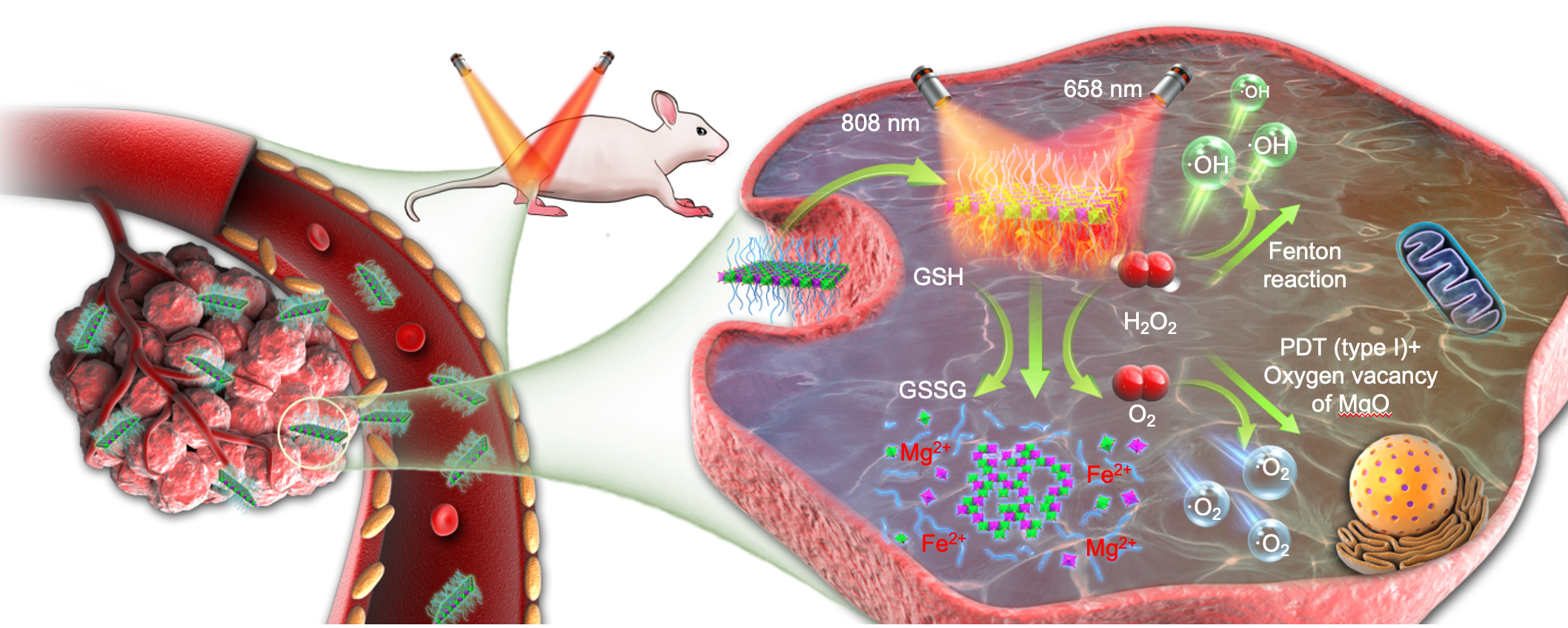 Nature-Derived 2-Dimensional Materials with synergistic photo-enhanced PDT/CDT/PTT
