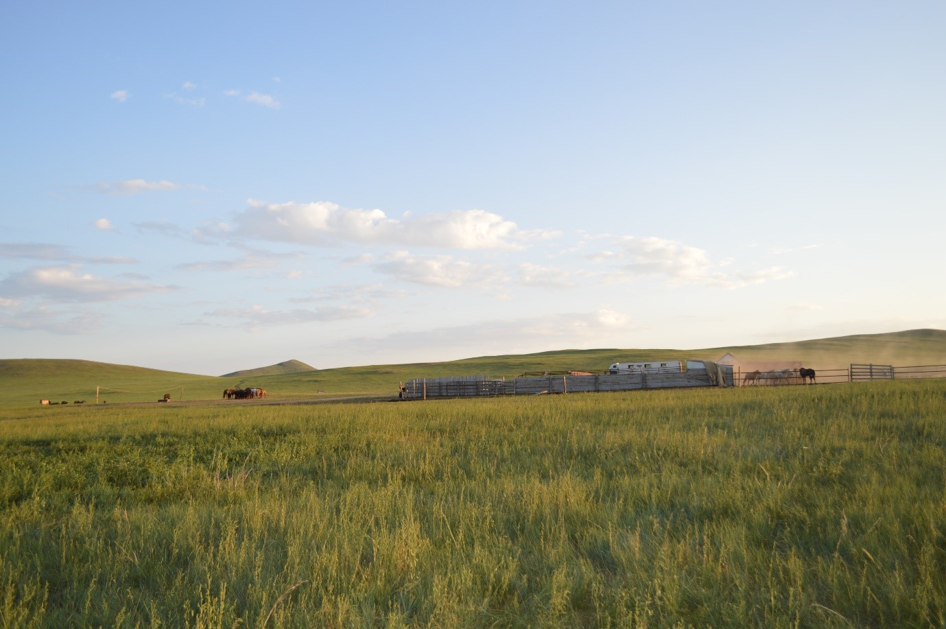 The Ajnai Sharga Horse Racing Team farm, Khentii