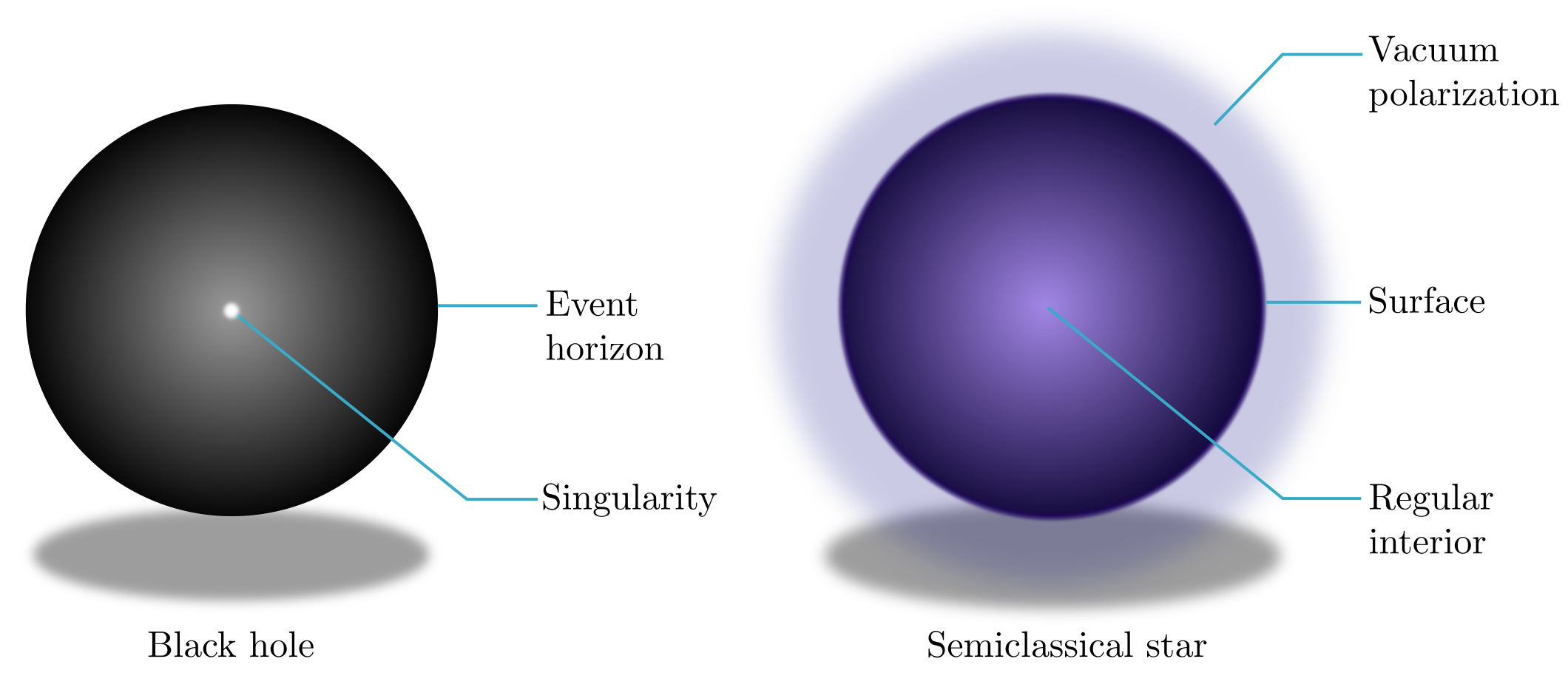 Left: a Schwarzschild black hole is only described by its mass and exhibits an 	          	          event horizon surrounding a central spacetime singularity.  	          Right: A semiclassical star is formed by a mixture of classical matter and              	          	          quantum vacuum polarization. It exhibits an astrophysically explorable surface and its 	          interior is devoid of singularities of any sort.  Are black holes idealized 		          	          approximations to more complex (stellar) configurations?