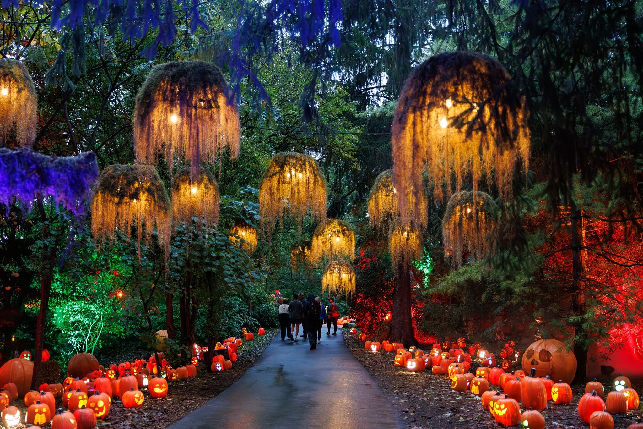 Lit up walkway at Newfields Harvest Nights