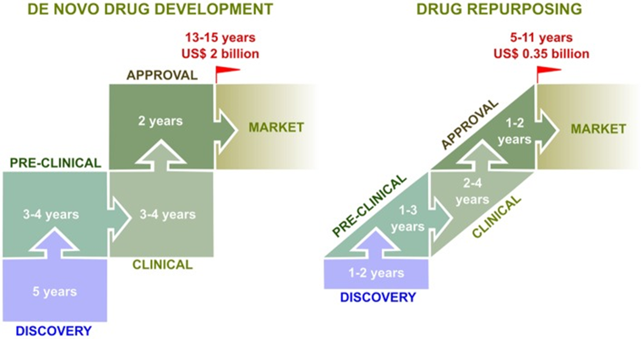 Diagram of de novo and repurposing drug development models