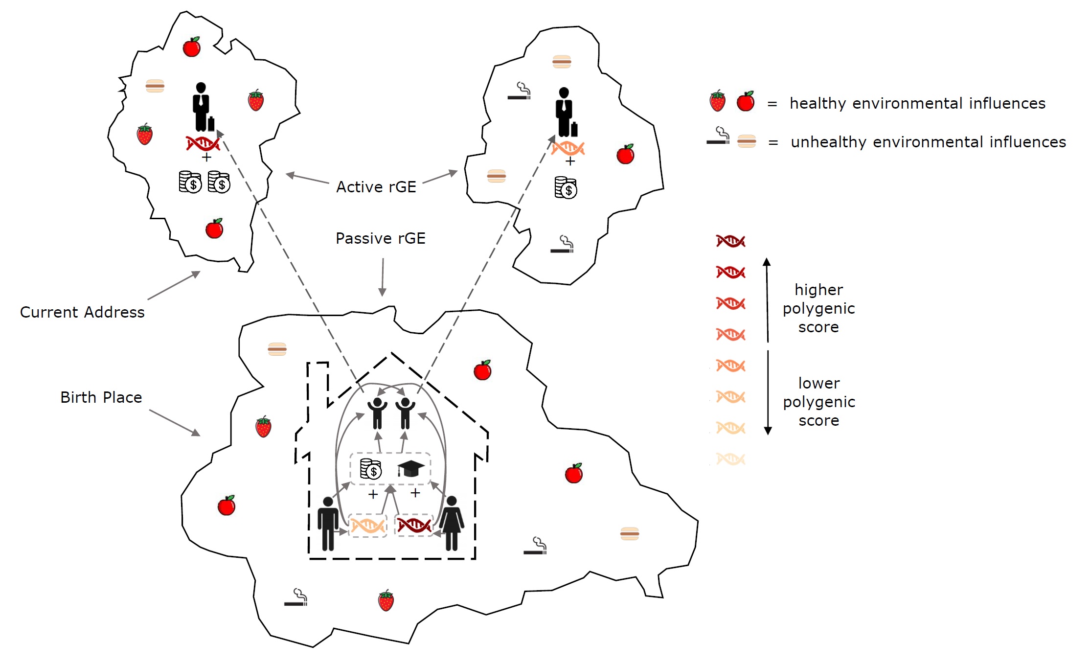 Gene-environment correlations (rGE) Gene-environment correlations (rGE): The sibling pair born in the region at the bottom migrates to two different regions at the top. The sibling with the higher polygenic score migrates to a healthier environment. Passive gene–environment correlations occur when the parental environment (bottom) correlates with heritable traits (i.e., family-level gene–environment correlations). Active gene–environment correlations occur when heritable behaviours (e.g., migration) lead to correlations between genes and environmental factors.