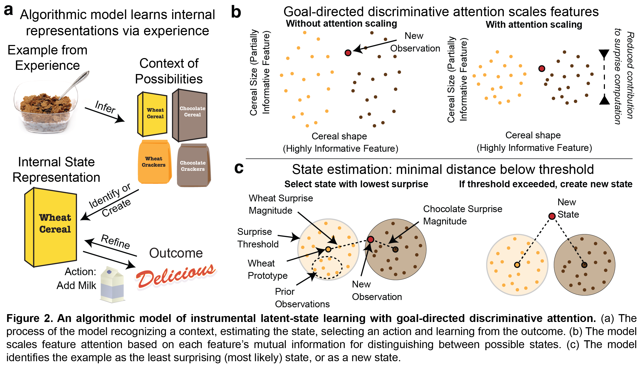 An algorithmic model of instrumental latent-state learning with goal-directed discriminative attention