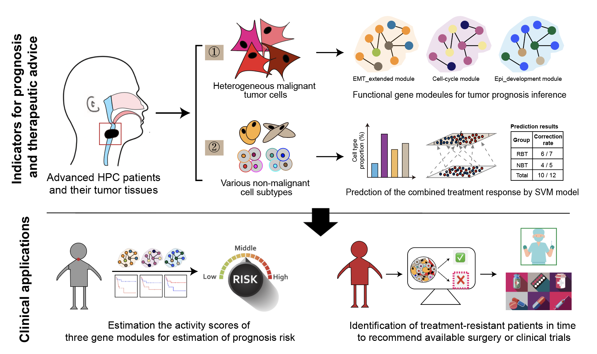 Figure. Graphical summary of our integrated transcriptome study in male predominant hypopharyngeal carcinoma
