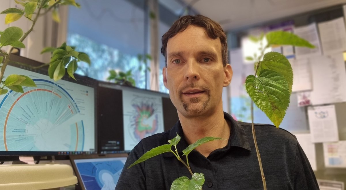 Chris Rinke phylogenetic trees RED approach, that relies on phylogenomic trees as input by Christian Rinke
