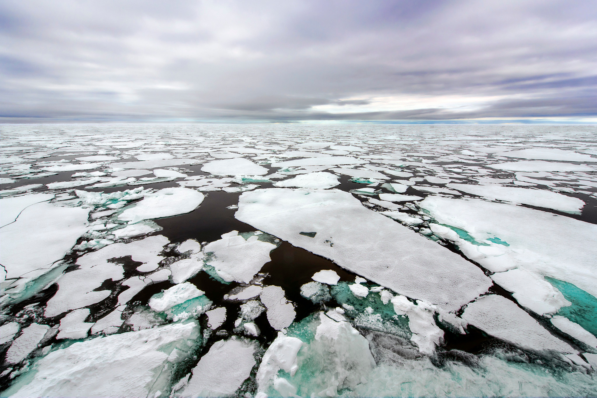 Sea ice near Franz Josef Land