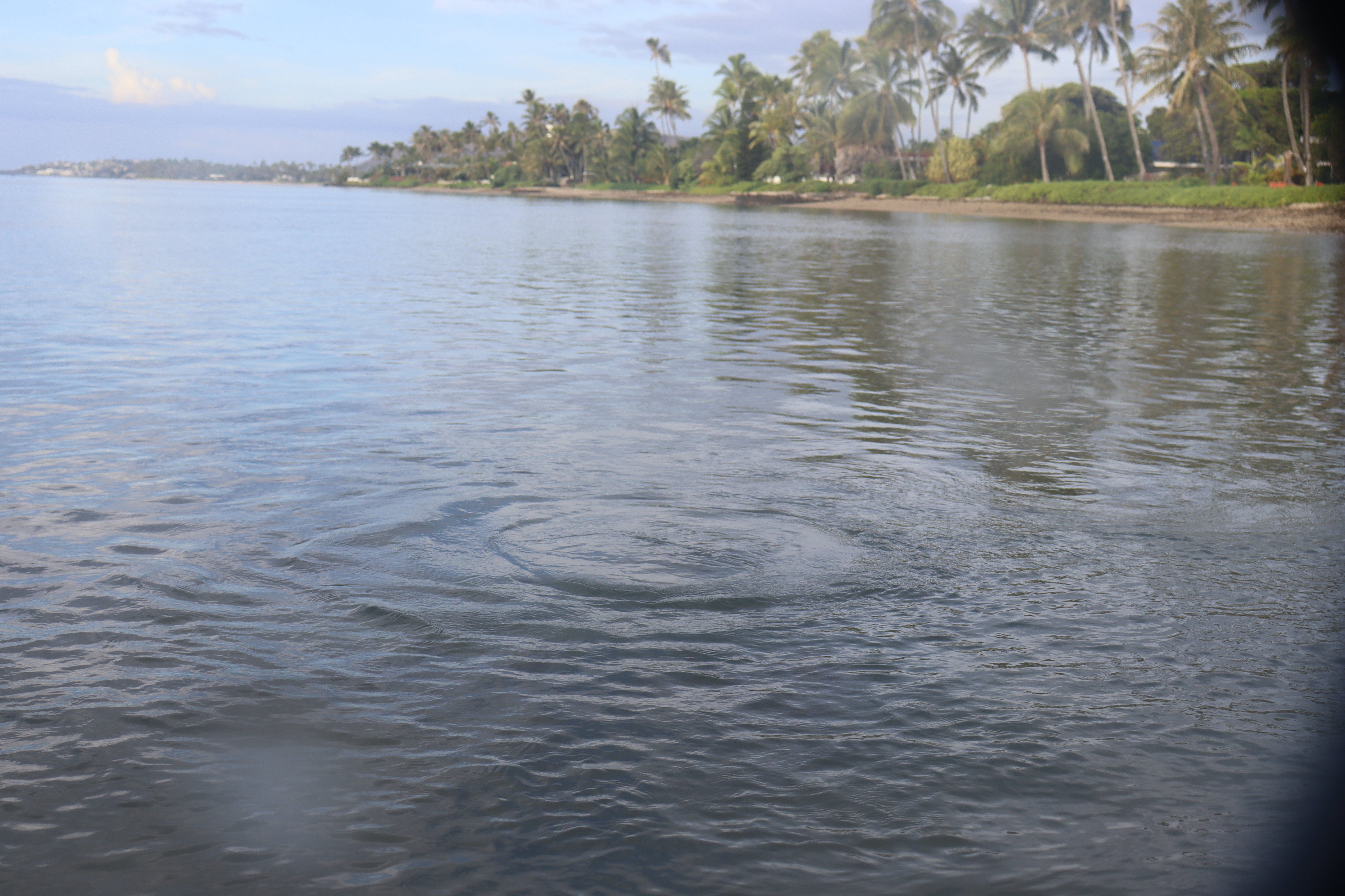 A boil of water at Waiʻalae ʻIki occurs where the submarine groundwater discharge spring enters the nearshore ecosystem. This brackish, nutrient rich water flows with enough force to cause a boil on the surface of the ocean. 