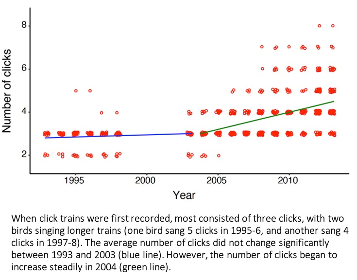 Click train elaboration