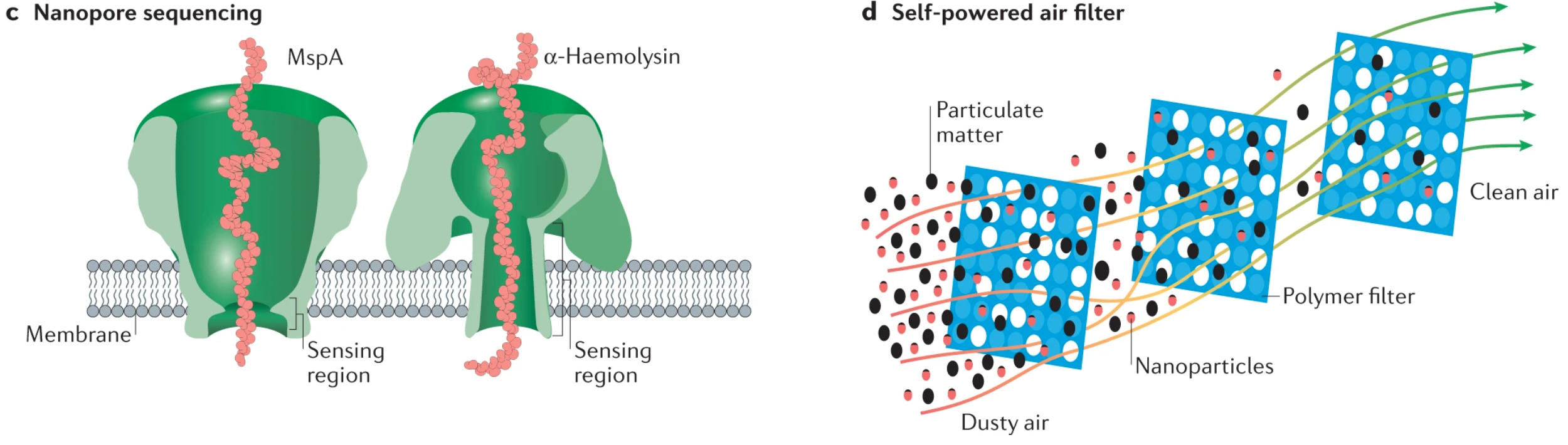 Fig. 2: Materials science in viral research and protection.