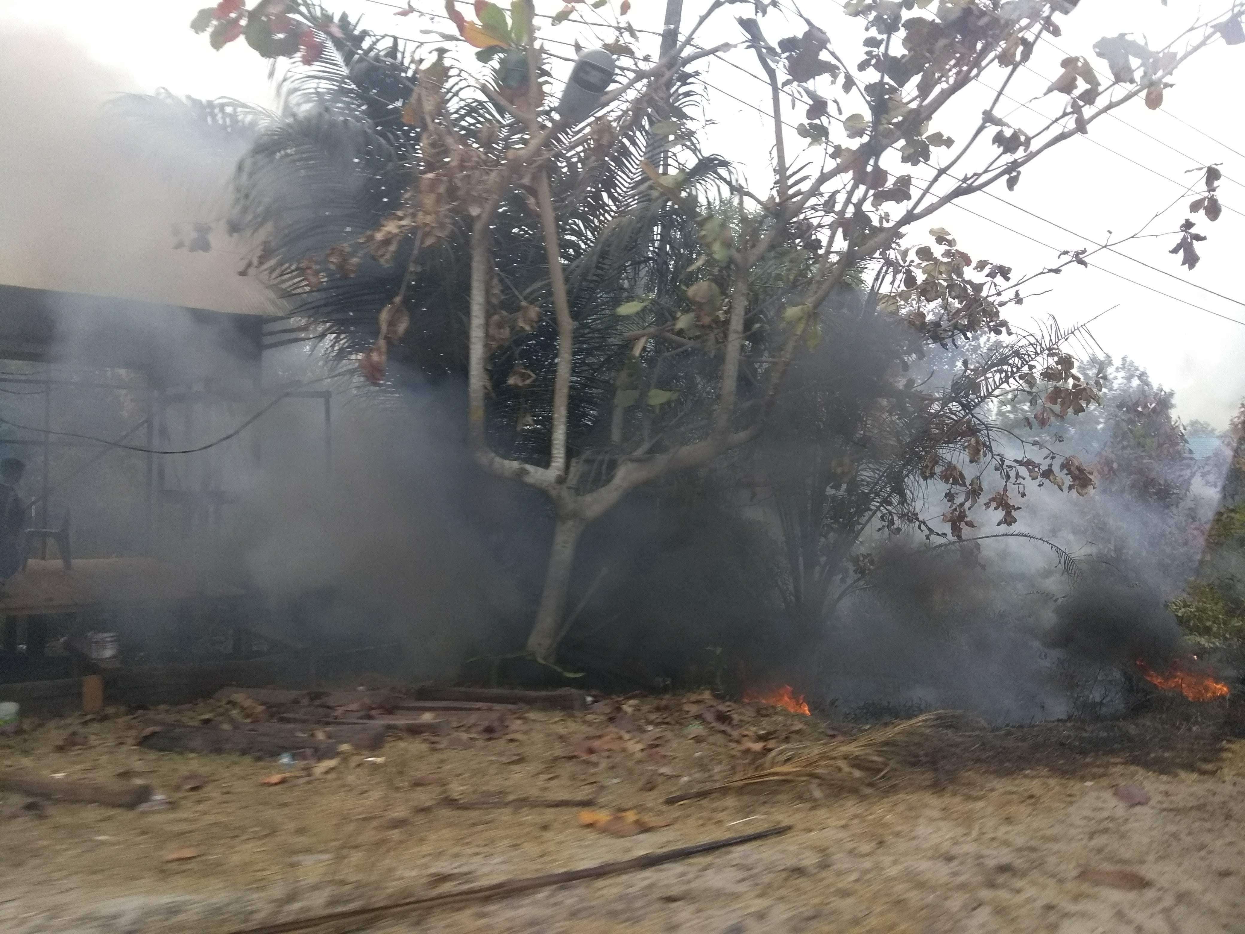 a small roadside clearance fire produces substantial amounts of smoke which is blowing into a building