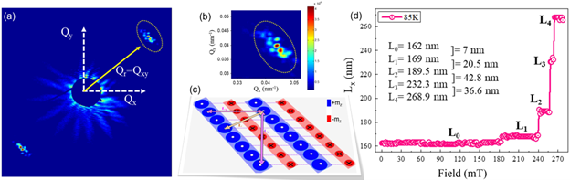 A typical description of the scattering pattern of the stripe lattice along with the projection of the in-plane Q-vectors.
