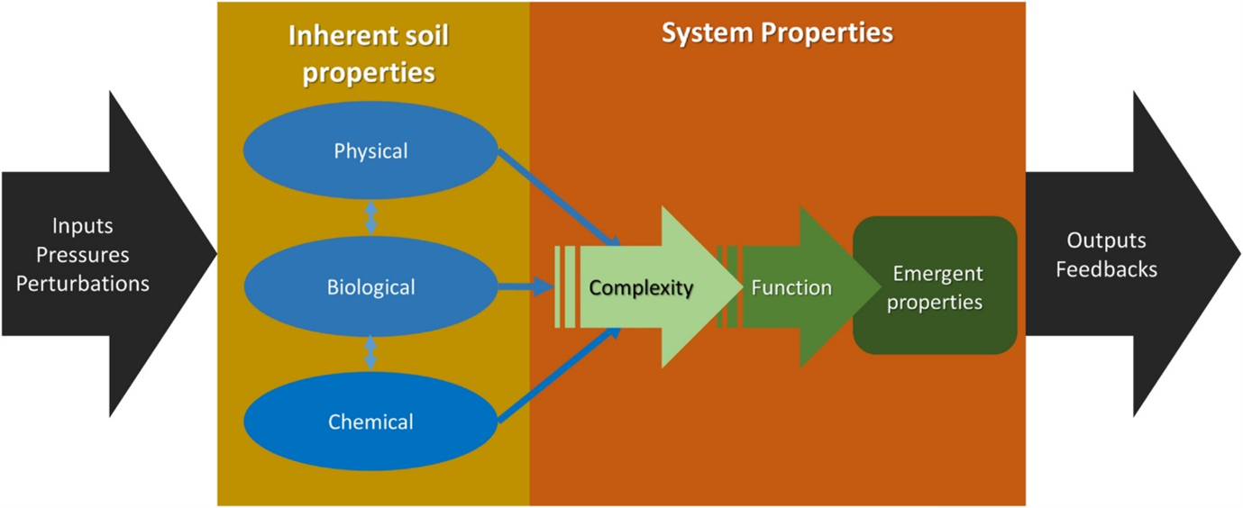 Diagram representing a putative relationship where inherent soil properties interact to produce complexity