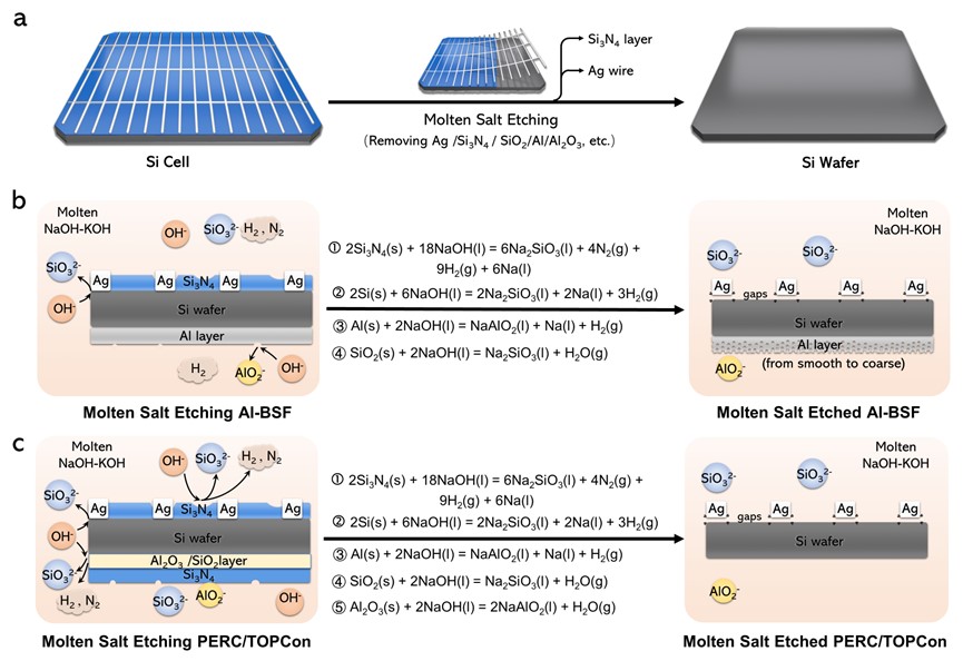 Fig. 2. Schematics of the recycling of end-of-life Si solar cells and the chemistry of molten salt etching. a, Schematic Illustration of the salt etching of Si cells. b-c, Etching mechanism of Al-BSF (b) and PERC/TOPCon (c) Si cells in molten NaOH-KOH.
