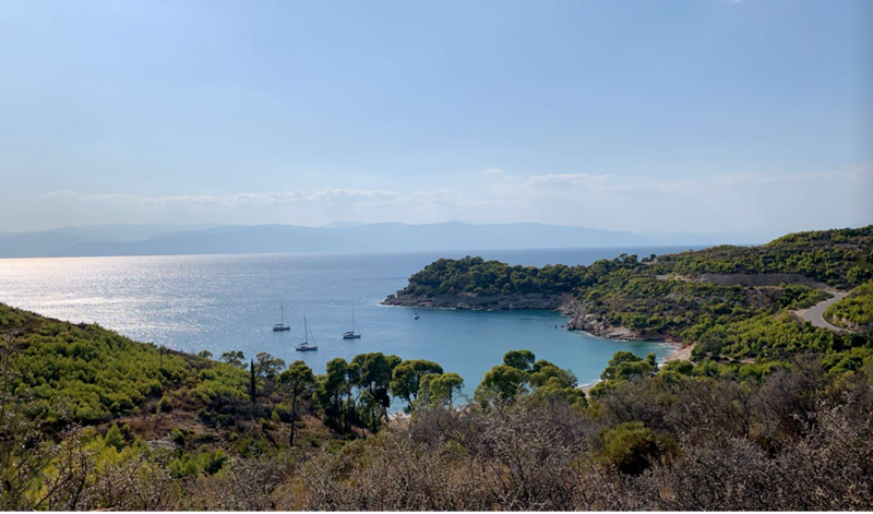 View of the sea from a hill.
