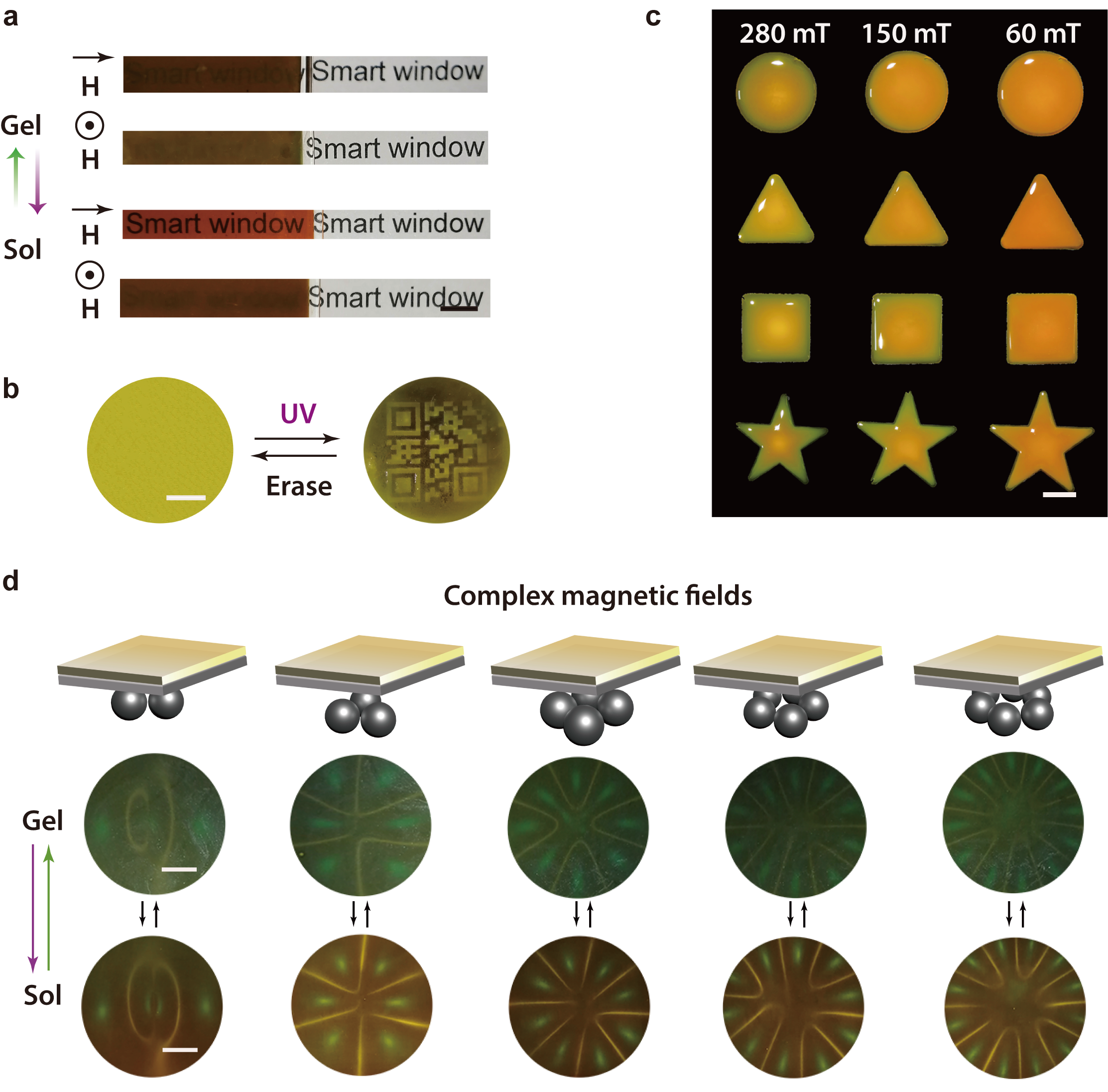  a Photographs of a smart window controlled by light and a magnetic field. Scale bar: 0.5 cm. b Photographs of writing and erasing a QR code on a composite gel. UV (365 nm, 30 mWcm−2, 30 s) and visible light (530 nm, 40 mWcm−2, 5 min) were used for writing and erasing procedures. Scale bar: 1 cm. c Photographs of composite gels with different shapes under magnetic fields with different intensities. Scale bar: 1 cm. d Schematic illustration and photographs of composite gel or sol under complex magnetic fields. Scale bar: 0.5 cm.