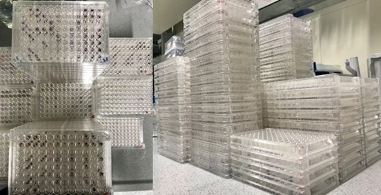 Bacterial consortia growing in BiOLOG Ecoplates.