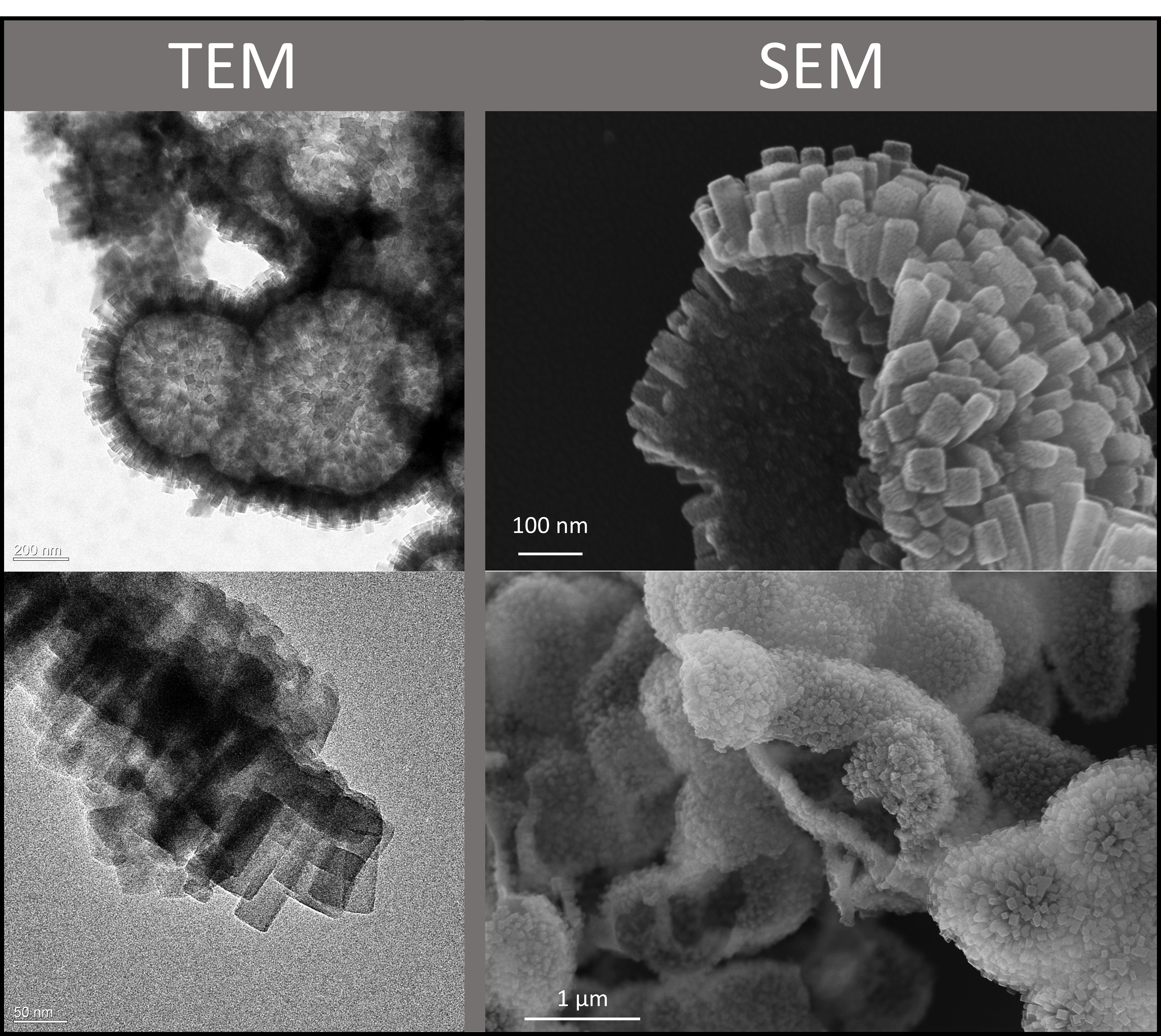 SEM and TEM images