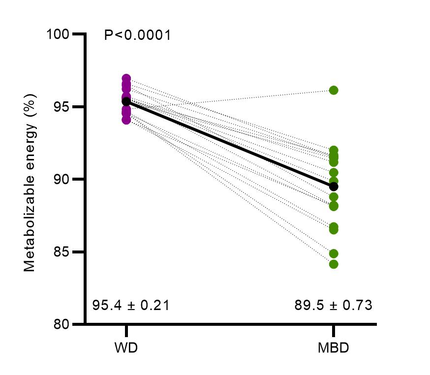 Figure 1: Variable Energy Absorption Efficiency with a Diet High in Substrates Accessible to the Gut Microbiota for Fermentation