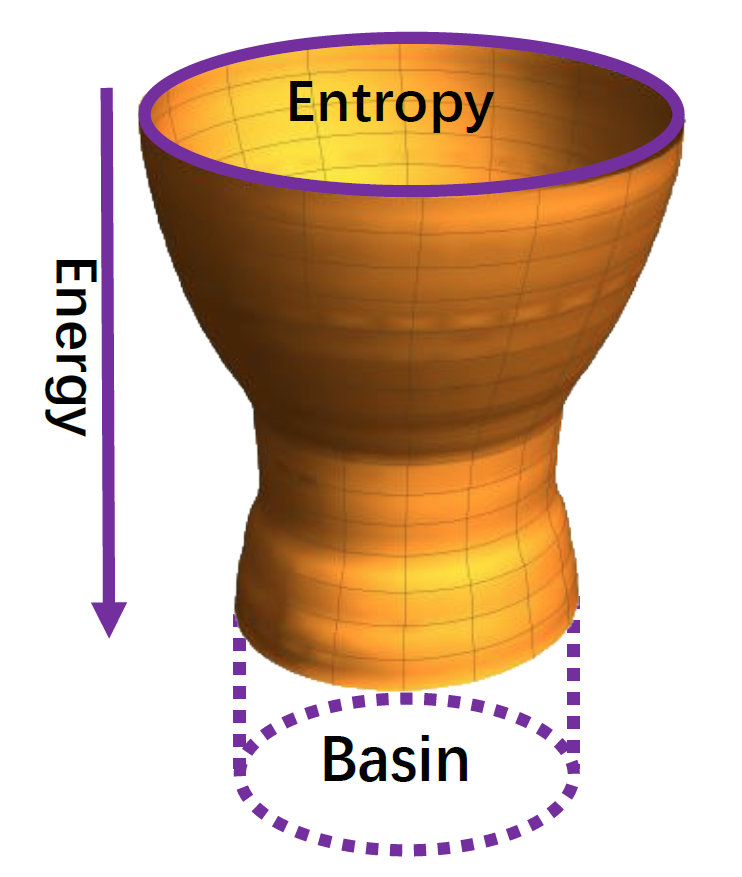 Evolution energy landscape in the sequence space of the Rec domain, the basin means the size of the sequence entropy for the evolved sequences.