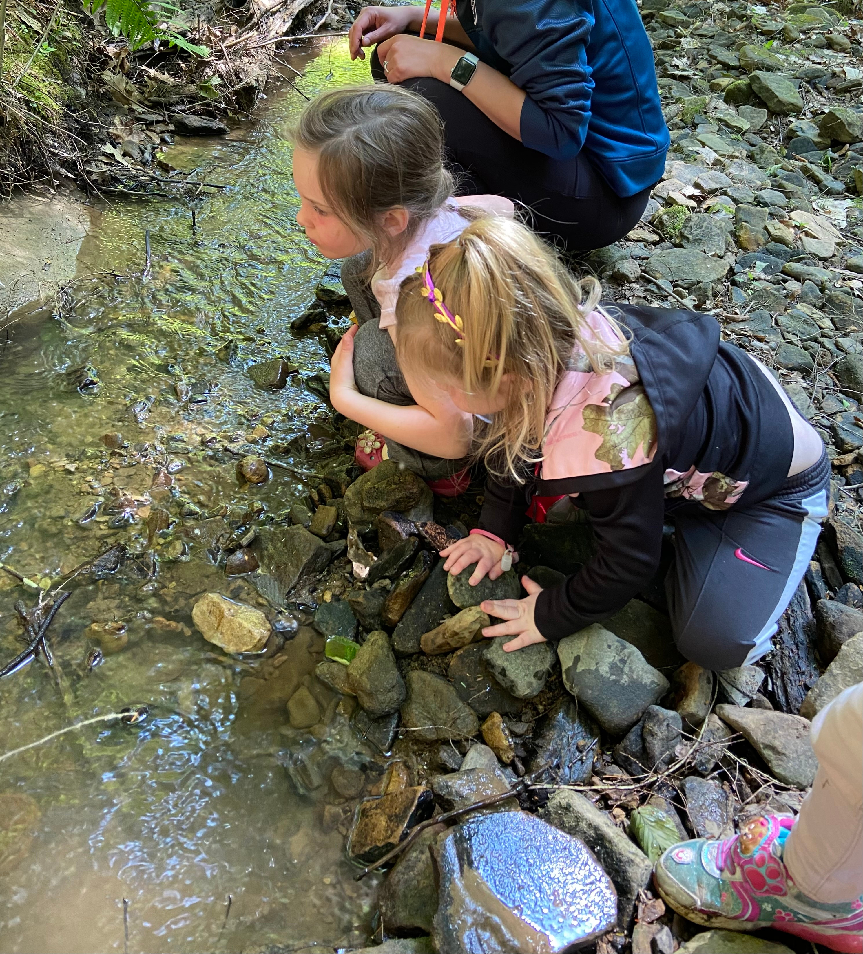 Kids and aquatic critters Katie's kids exploring a creek