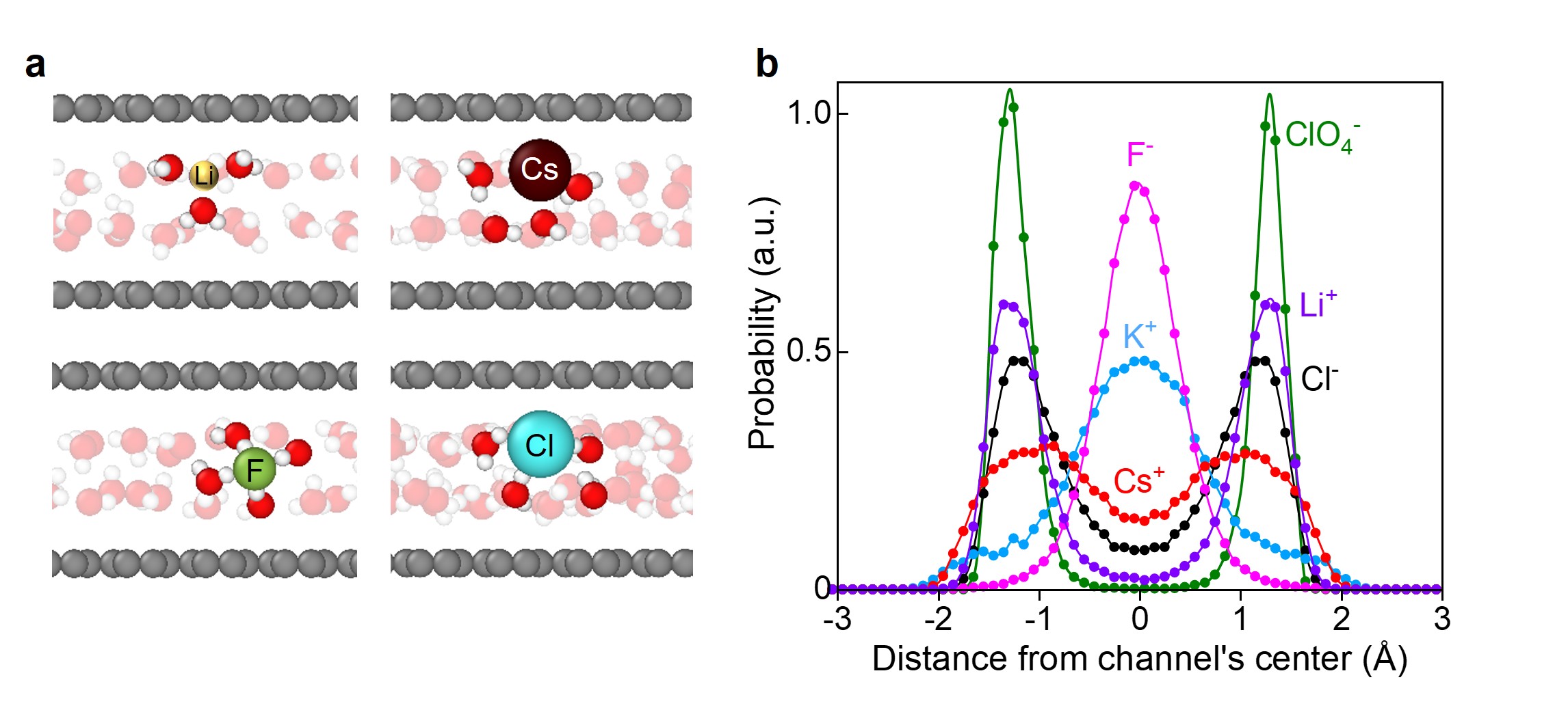 Fig. 2| Ion positioning in 2D water and mobility reduction. (a) Snapshots from MD simulations showing local arrangements of water molecules around ions in Å-channels. (b) Probability of finding various ions at different distances from the channel center.