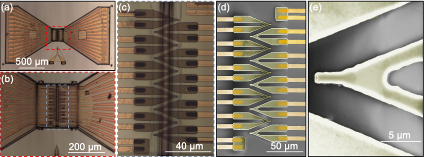 Optical microscopy images (a-c), and false-color scanning electron microscopy (SEM) images (d-e) showing a 2D array of FET probes before popping up. (a) Overview of the arrayed probes. (b-c) Enlarged images of the probes. (d) Corresponding SEM image shown in (c). (e) Enlarged image of a single probe. 
