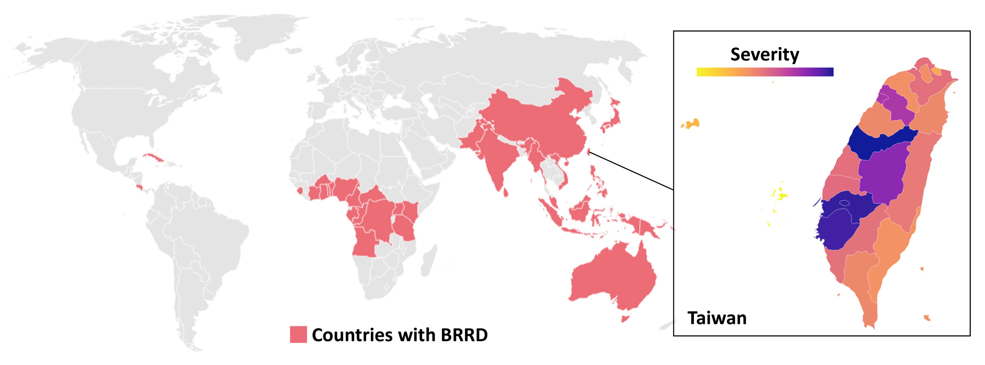 Geographical distribution of brown root rot disease (BRRD)