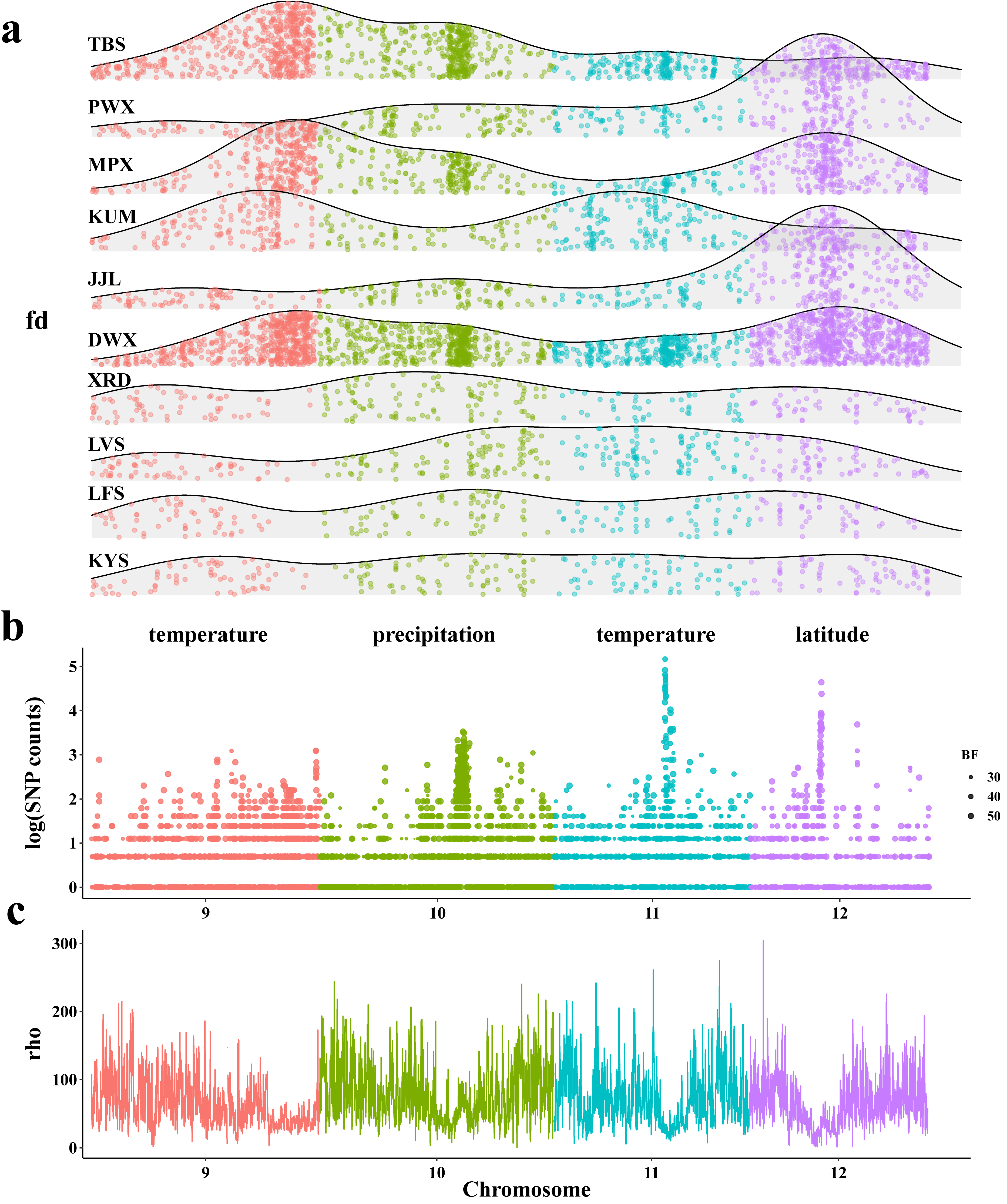 Fig. 4 The correlation between genomic introgression, environmental associated mutations and recombination rate. (a) The density distribution of introgression windows with fd significantly larger than zero. (b) All four main introgressed regions in Chr.9~12 are enriched with SNPs with frequency significantly associated with environmental / geographical factors. (c) Distribution of the population recombination rate. Fig. 4 The correlation between genomic introgression, environmental associated mutations and recombination rate. (a) The density distribution of introgression windows with fd significantly larger than zero. (b) All four main introgressed regions in Chr.9~12 are enriched with SNPs with frequency significantly associated with environmental / geographical factors. (c) Distribution of the population recombination rate.