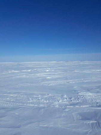 Figure 1 - Photo of sea ice from the East Coast of Hudson Bay, near Whapmagoostui-Kuujjuarapik, Quebec, Canada, taken during the March 2019 fieldwork. Photo Credit Lígia F. Coelho.