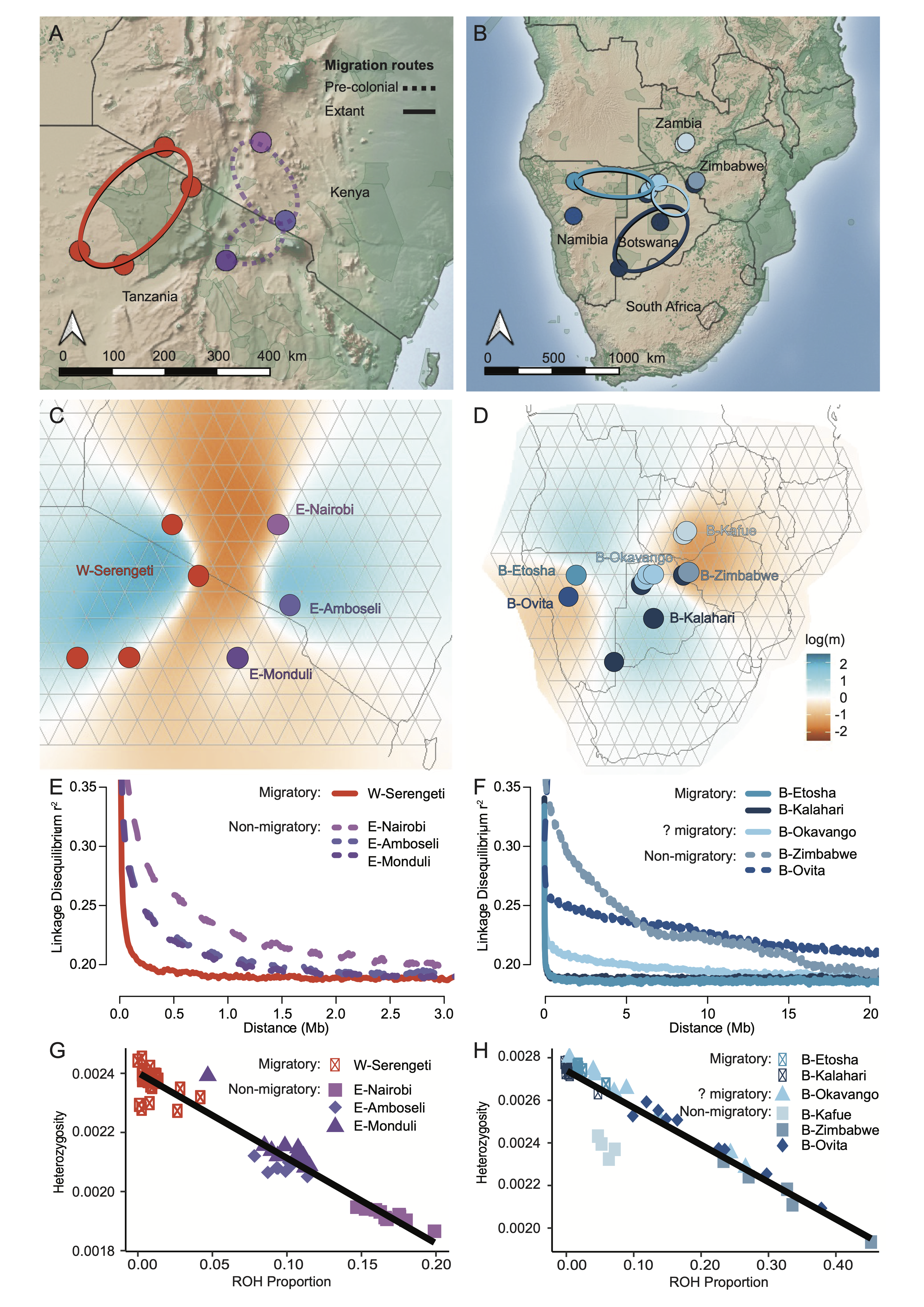 Comparison between adjacent migratory and non-migratory populations in eastern (left) and southern Africa (right).