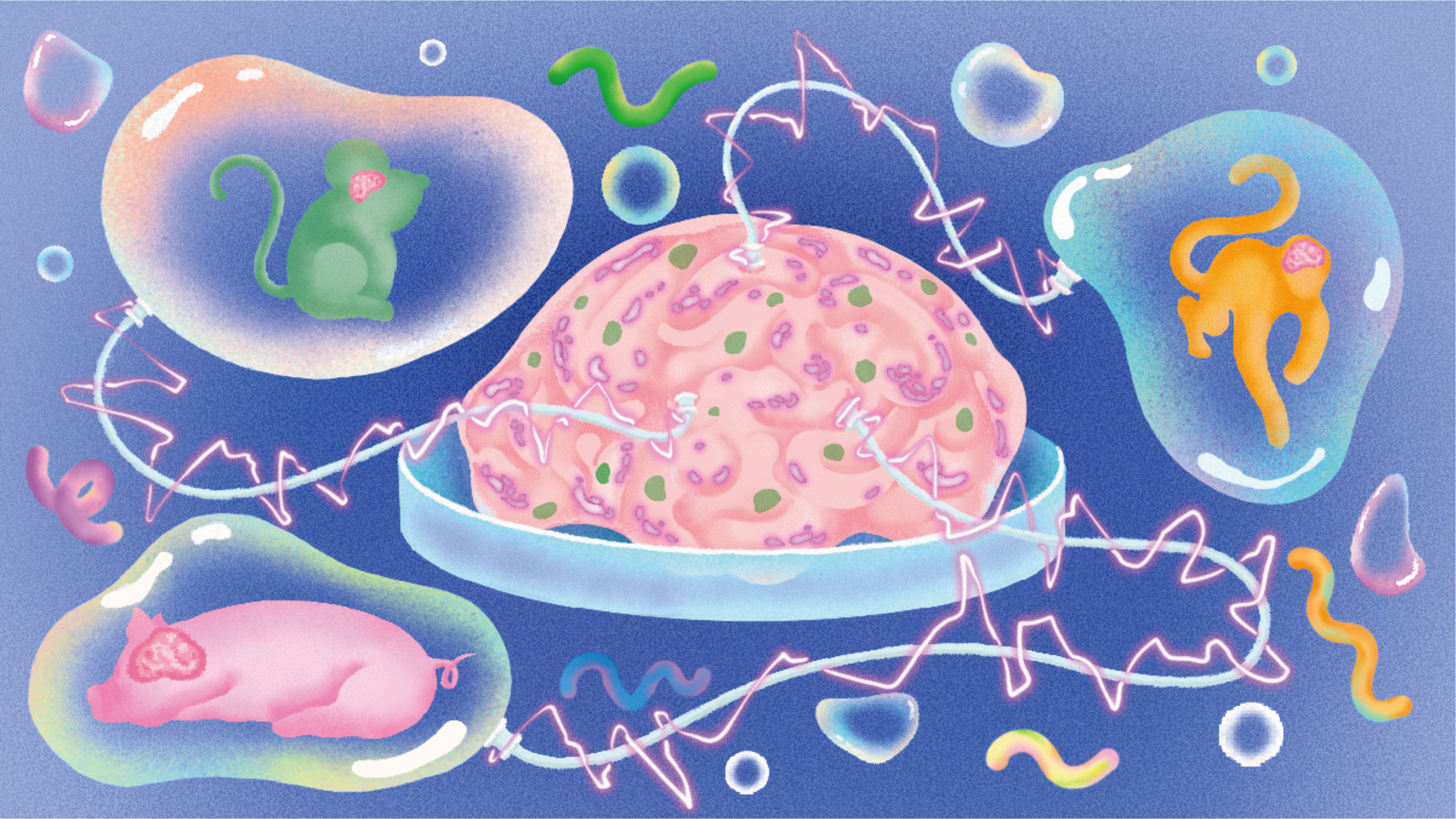 Fig. 1: Using brains to build brains for better-engineered human models