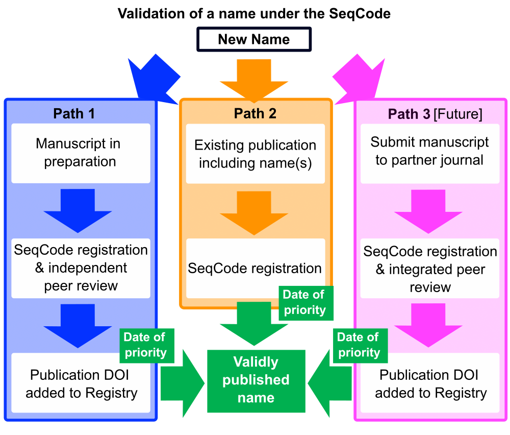 Figure 1. Validation process of a name under the SeqCode.