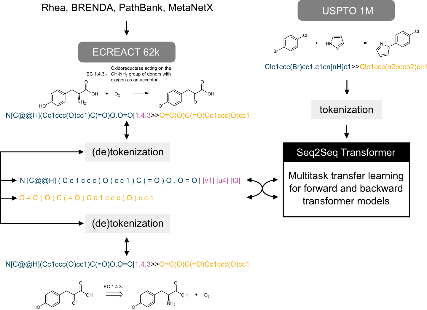 Seq2Seq Molecular Transformer for Biocatalysed Synthesis Planning