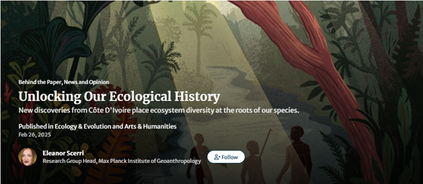 Jungle Pioneers: How 150,000-Year-Old Tools Rewrite Our Ecological Origins The picture with trees in a jungle