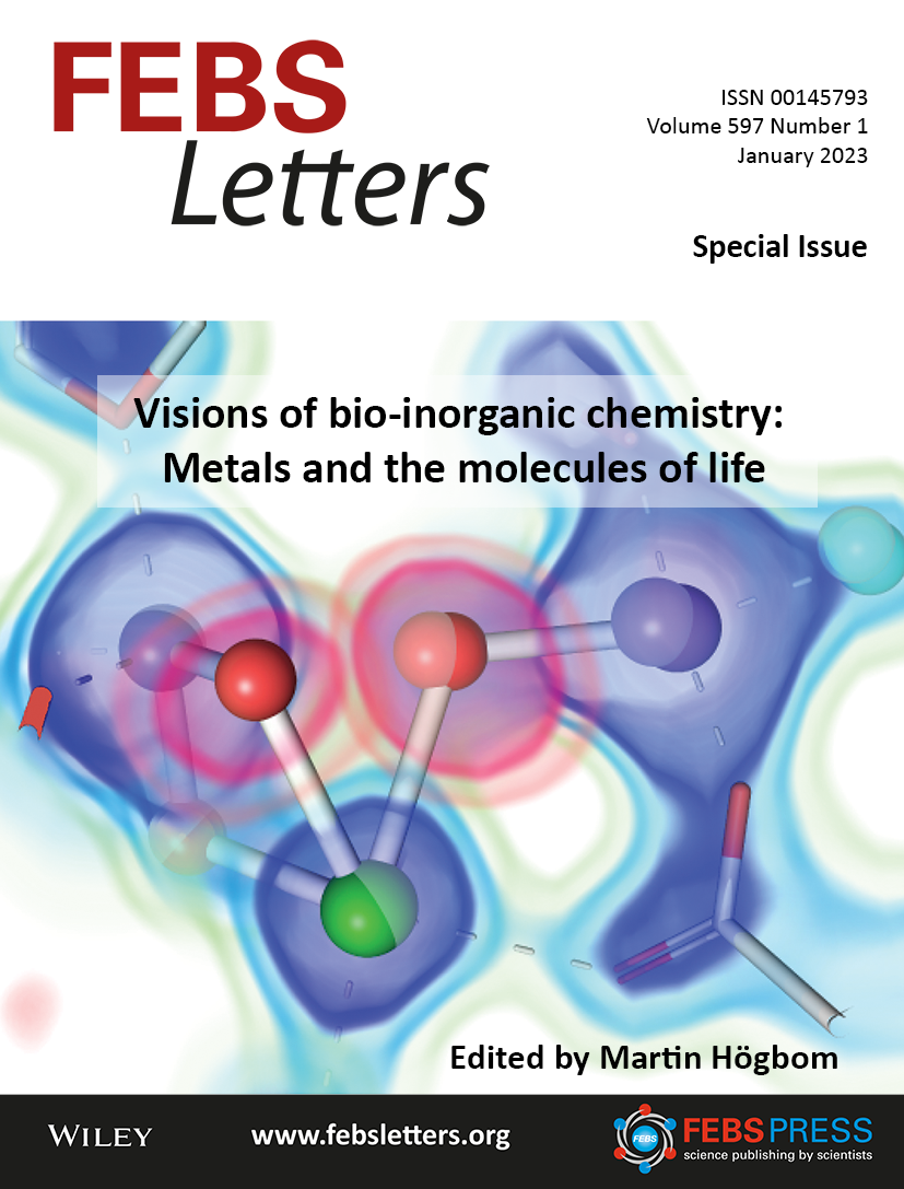 FEBS Lett Volume 597, Issue 1 Special Issue: Visions of bio-inorganic chemistry: Metals and the molecules of life The cover image captures an intermediate state of water oxidation in the Kok cycle, and is taken from Simon et al. ‘Capturing the sequence of events during the water oxidation reaction in photosynthesis using XFELs’.