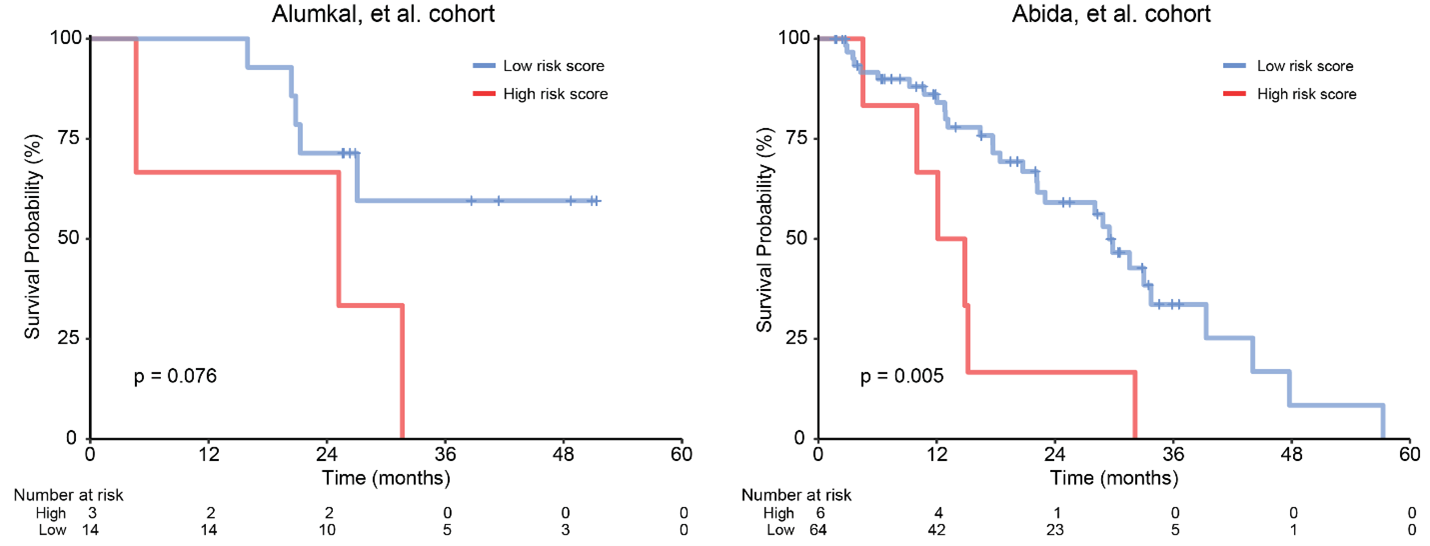 Kaplan-Meier survival curves for patients in the Alumkal, et al. cohort8 (left) and Abida, et al. cohort6 (right) stratified by high or low lineage plasticity risk score